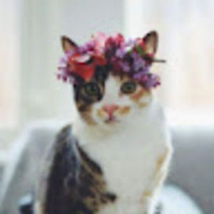 Meet your Posher, Chantal